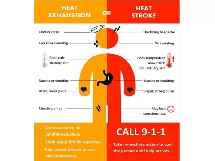California employers: preventing heat-related illness